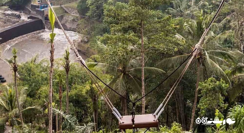 سرگرمی بالی سویینگ شهر اندونزی کشور بالی