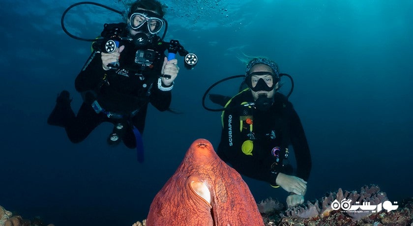 سرگرمی غواصی در بالی شهر اندونزی کشور بالی