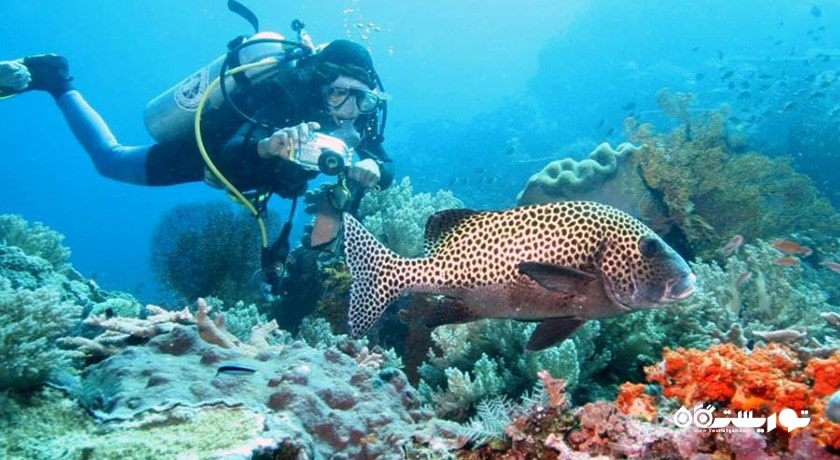 سرگرمی غواصی در بالی شهر اندونزی کشور بالی