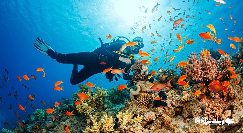سرگرمی غواصی در بالی شهر اندونزی کشور بالی
