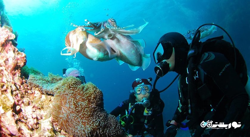 غواصی در بالی -  شهر بالی