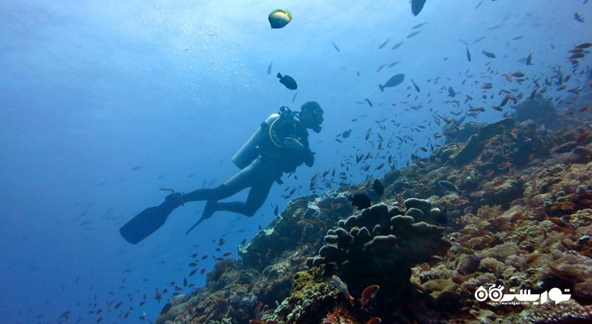 سرگرمی غواصی در بالی شهر اندونزی کشور بالی