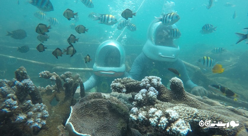 سرگرمی پیاده روی دریایی در بالی شهر اندونزی کشور بالی