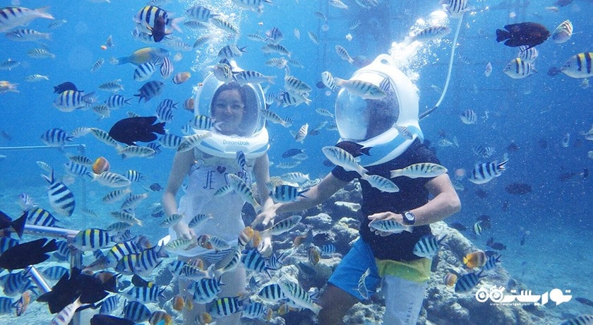 سرگرمی پیاده روی دریایی در بالی شهر اندونزی کشور بالی