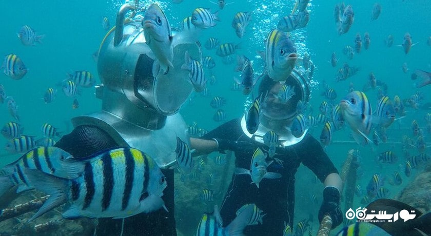 سرگرمی پیاده روی دریایی در بالی شهر اندونزی کشور بالی