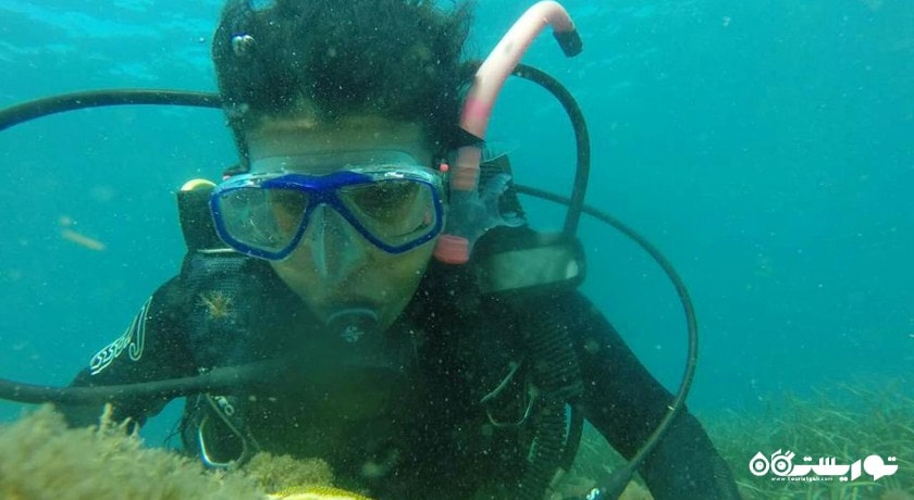غواصی در کوش آداسی -  شهر کوش آداسی