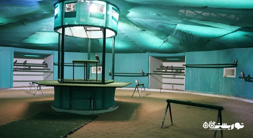  بیمارستان شاهین ابوظبی شهر امارات متحده عربی کشور ابوظبی