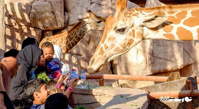 باغ وحش پارک امارات -  شهر ابوظبی