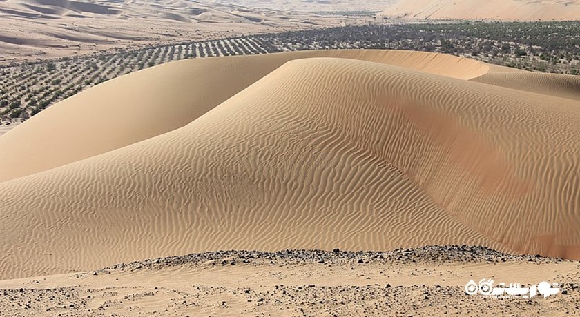  واحه لیوا شهر امارات متحده عربی کشور ابوظبی