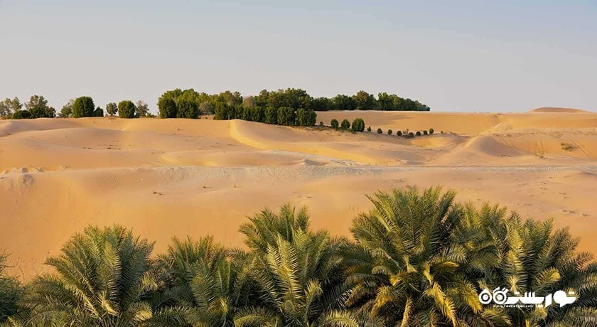  واحه لیوا شهر امارات متحده عربی کشور ابوظبی