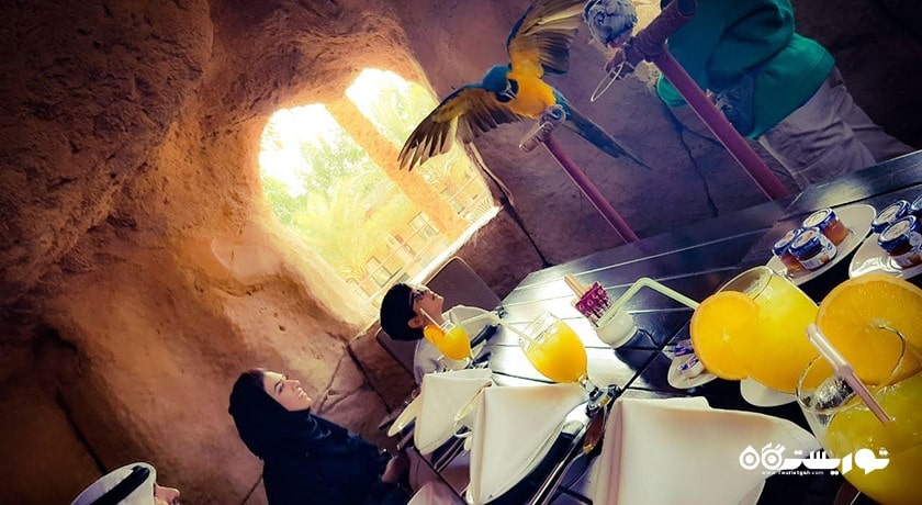 سرگرمی صرف صبحانه با طوطی ها شهر امارات متحده عربی کشور ابوظبی