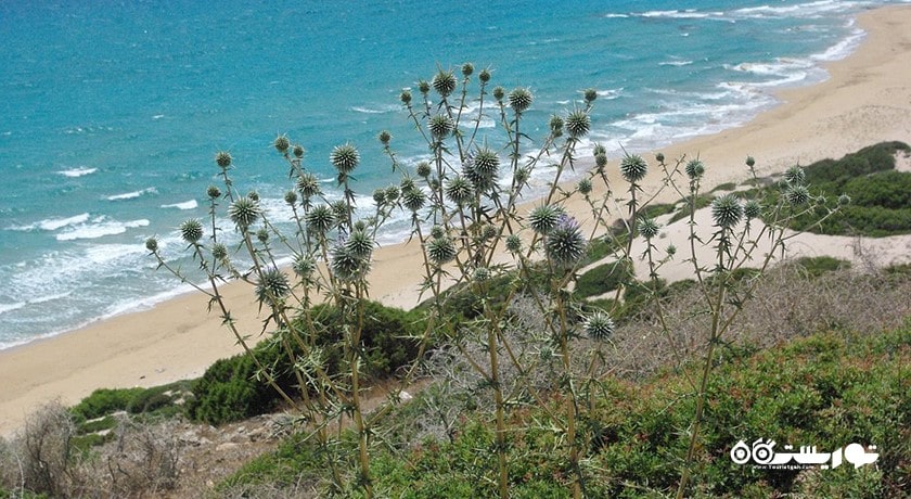 پارک ملی قبرس شمالی -  شهر نیکوزیای شمالی