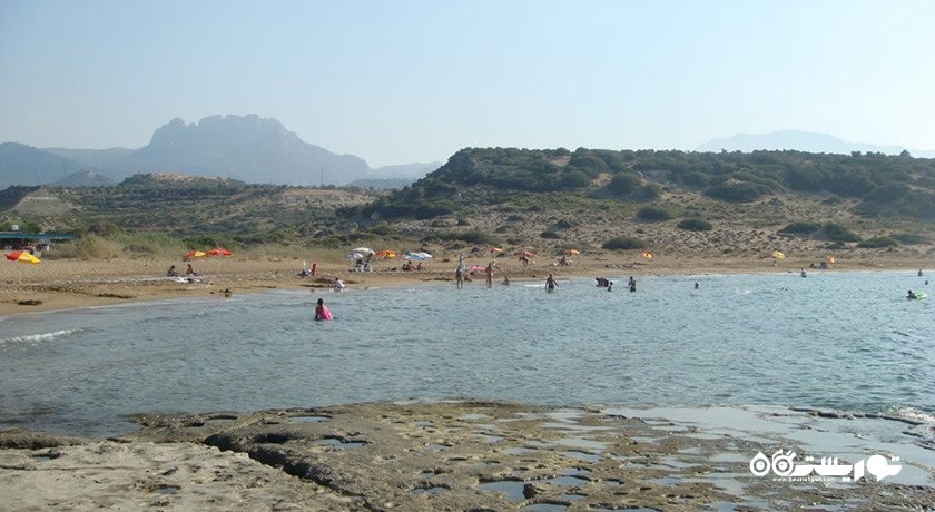 تماشای لاکپشت در قبرس شمالی -  شهر نیکوزیای شمالی