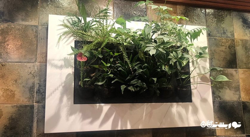 رستوران رستوران مزایا شهر بغداد 