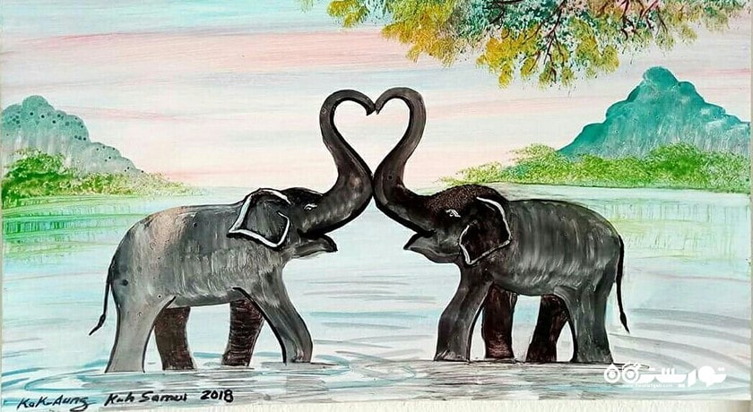  گالری کوکو شهر تایلند کشور کو سامویی