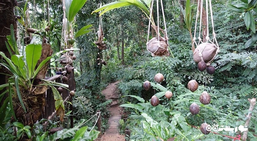 آبشار تان روآ -  شهر کو سامویی