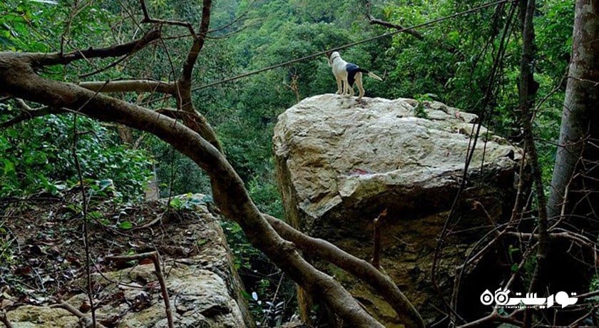  آبشار تان روآ شهر تایلند کشور کو سامویی