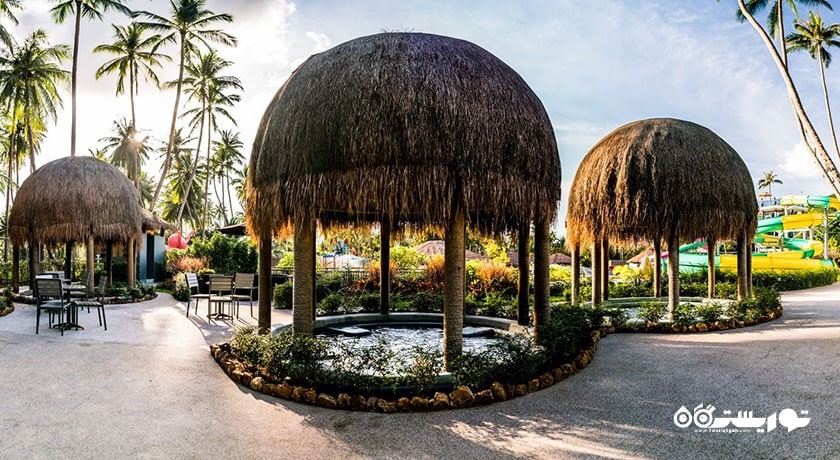 سرگرمی پارک آبی فیل صورتی سامویی شهر تایلند کشور کو سامویی