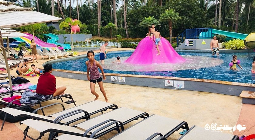 سرگرمی پارک آبی فیل صورتی سامویی شهر تایلند کشور کو سامویی