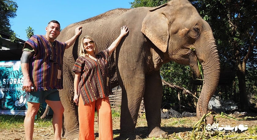 پناهگاه جنگل فیل -  شهر کو سامویی