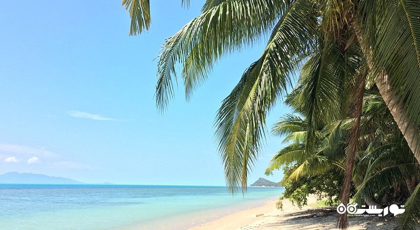 سرگرمی حمام آفتاب و شنا در سواحل کو سامویی شهر تایلند کشور کو سامویی