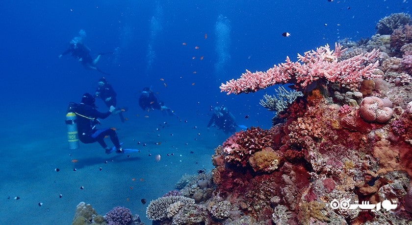 سرگرمی غواصی در کو تائو شهر تایلند کشور کو سامویی