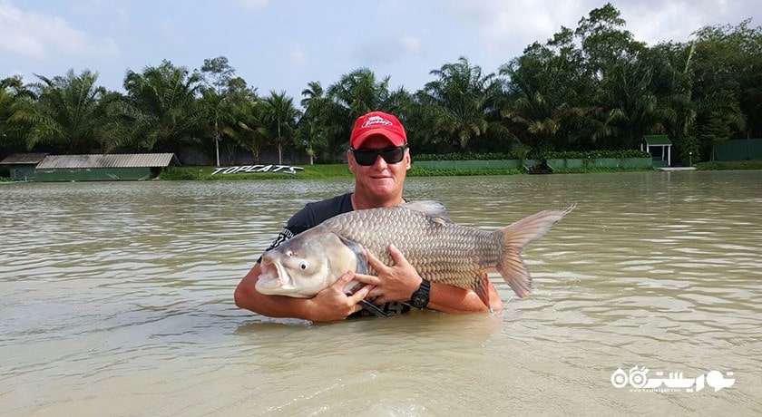 سرگرمی ماهیگیری در کوسامویی شهر تایلند کشور کو سامویی