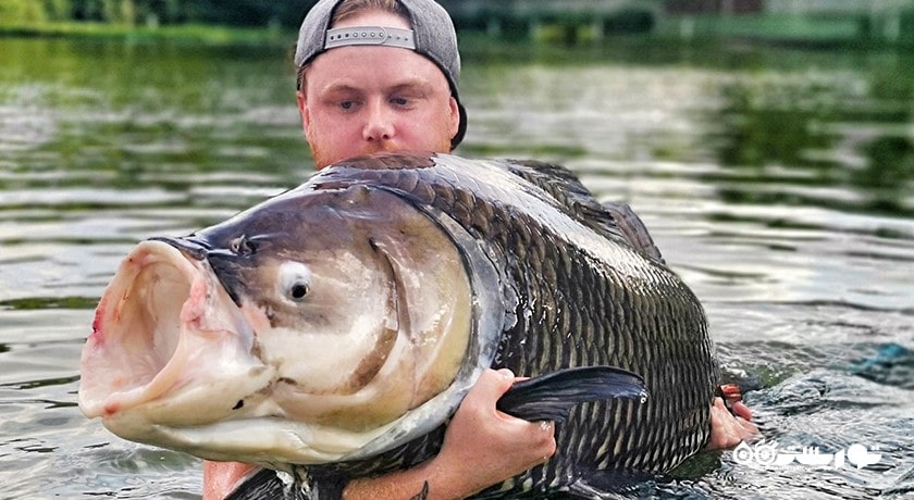 سرگرمی ماهیگیری در کوسامویی شهر تایلند کشور کو سامویی