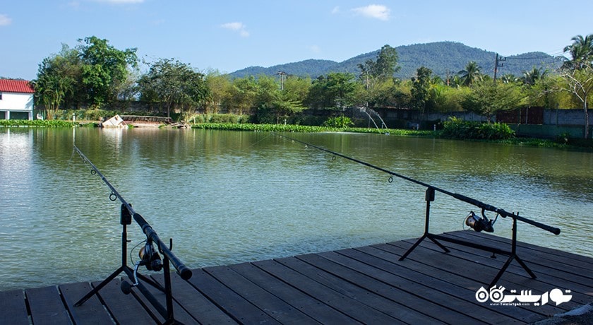 سرگرمی ماهیگیری در کوسامویی شهر تایلند کشور کو سامویی