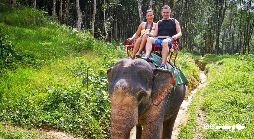 فیل سواری در کوسامویی -  شهر کو سامویی