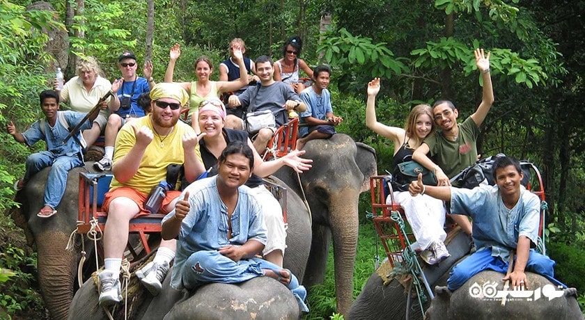 فیل سواری در کوسامویی -  شهر کو سامویی