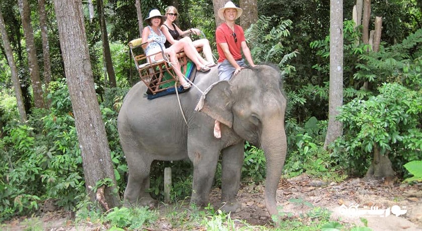 سرگرمی فیل سواری در کوسامویی شهر تایلند کشور کو سامویی