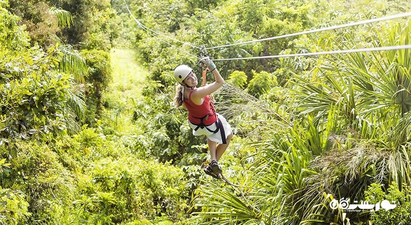 سرگرمی زیپ لاین در کوسامویی شهر تایلند کشور کو سامویی