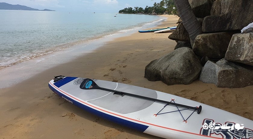 پاروزنی ایستاده در کوسامویی -  شهر کو سامویی