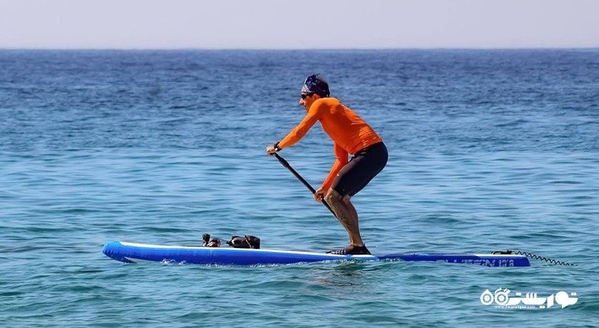 پاروزنی ایستاده در کوسامویی -  شهر کو سامویی