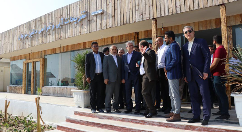 کلوپ دریایی دلفین مرجان -  شهر قشم