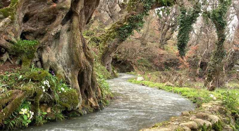  شیرین رود ساری شهرستان مازندران استان ساری