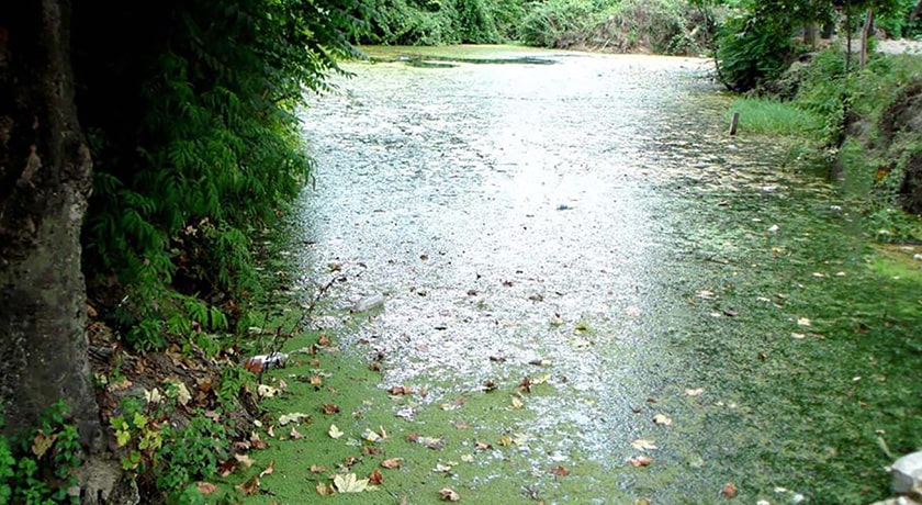  پناهگاه حیات وحش سمسکنده شهرستان مازندران استان ساری