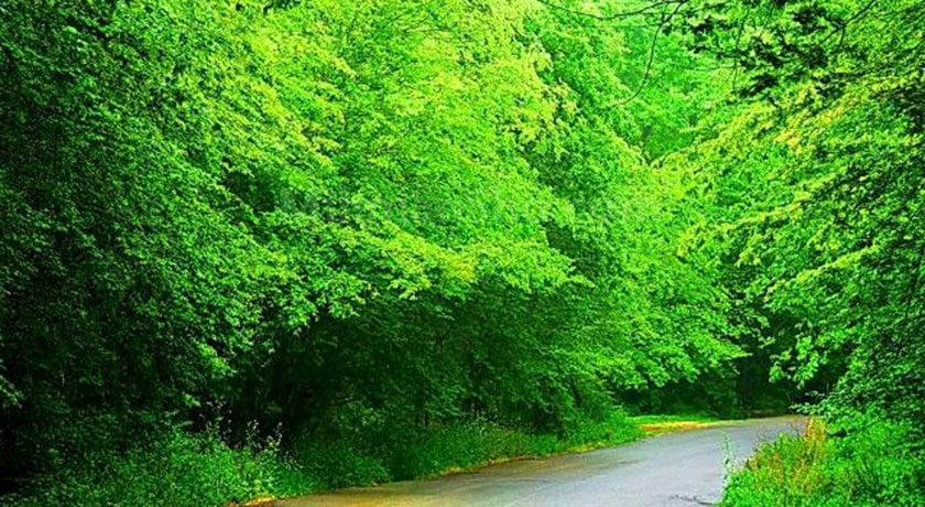  پناهگاه حیات وحش سمسکنده شهرستان مازندران استان ساری