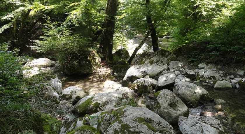  روستای پاجی شهرستان مازندران استان ساری