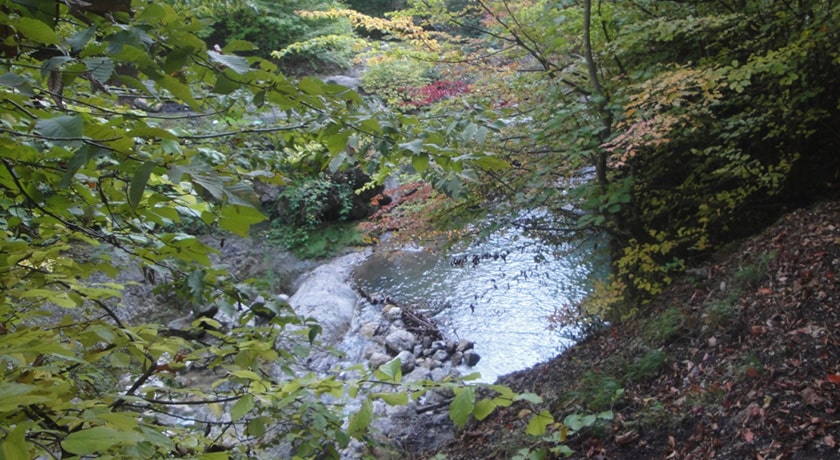  رودخانه اشک شهرستان مازندران استان ساری