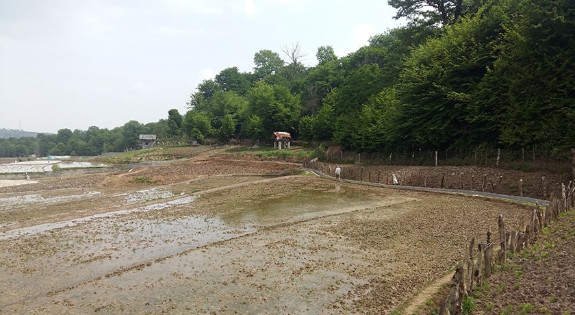  روستای ارزفون شهرستان مازندران استان ساری