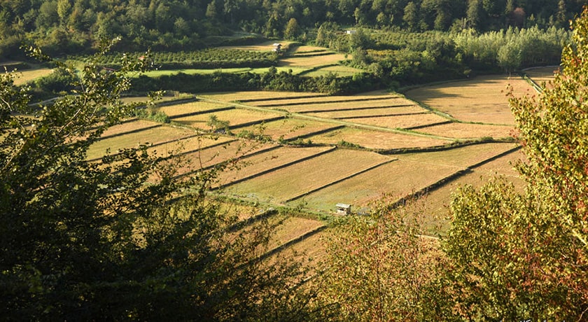  روستای سقندیکلا شهرستان مازندران استان ساری