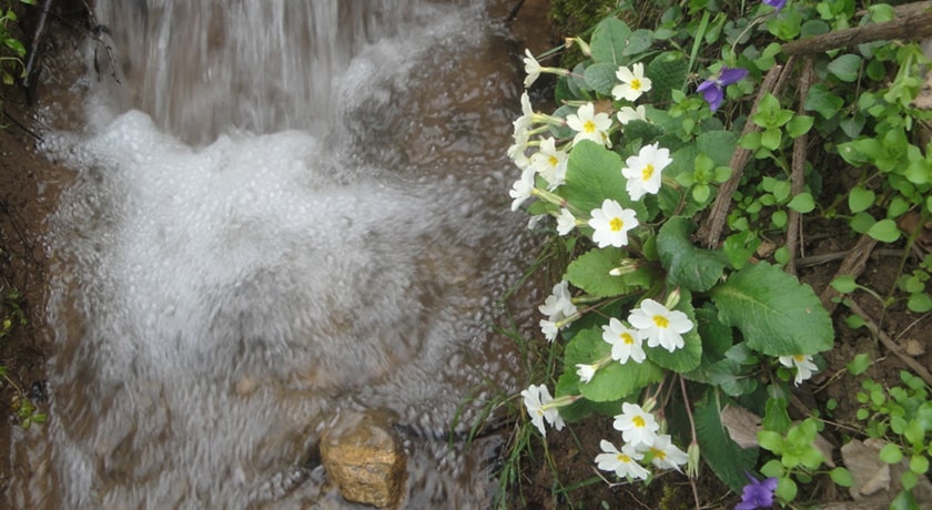  روستای میانا شهرستان مازندران استان ساری