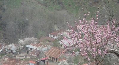 روستای میانا -  شهر ساری