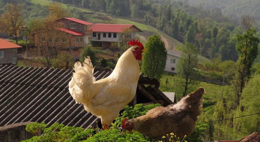  روستای سرخ ولیک شهرستان مازندران استان ساری