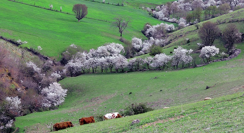  بخش دودانگه ساری شهرستان مازندران استان ساری