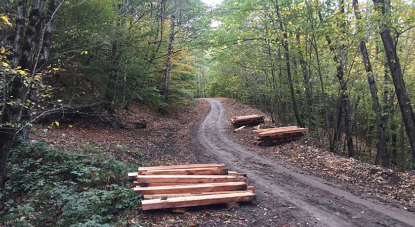  جنگل سنگده شهرستان مازندران استان ساری