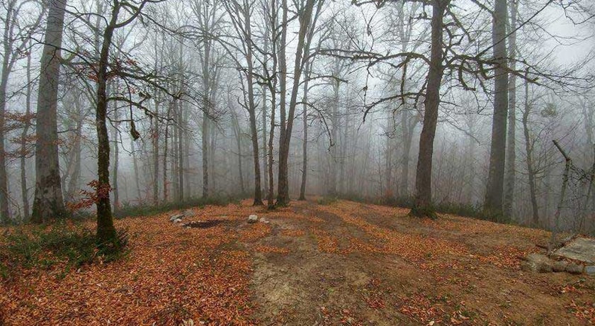  جنگل سنگده شهرستان مازندران استان ساری