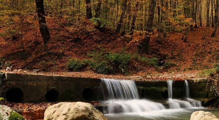  جنگل سنگده شهرستان مازندران استان ساری